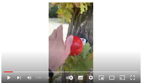 HTC Video Screenshot